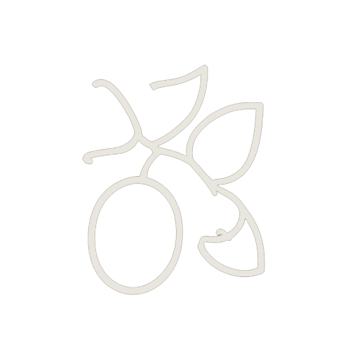 Olive Branch Icon